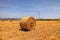 Haystacks. Straw bales on mown field. Israel countryside