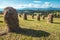 Haystacks in Tatra