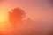 Haystacks and tree in misty autumn morning sunrise