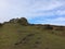 Haytor Rocks on Dartmoor
