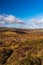 Haytor Rocks Dartmoor Park Devon England Europe