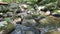 Hazel River, Shenandoah Virginia - mid shot looking down river