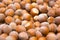 Hazelnut background texture close up. Group of filberts