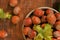 Hazelnut close-up.Nuts abundance.Ripe nuts plate and green nuts with leaves on wooden background