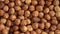 Hazelnut close up. product rich in minerals and vitamins. Hazelnut turns in a shot. Hazelnut kernels rotating. Hazelnut