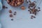 Hazelnut, coffee beans and cocoa powder in light blue background