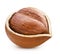 Hazelnut isolated Clipping Path