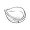 Hazelnut kernel half shell simple icon sketch style. Hatched nuts for packaging or labels
