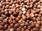 Hazelnut kernels macro details lighted