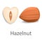 Hazelnut mockup, realistic style