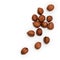Hazelnut nuts, close up