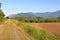 Hazelnut Orchard and Natural Surroundings