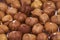 Hazelnut pile closeup. Hazelnut photo background. Organic food fresh banner template.