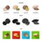 Hazelnut, pistachios, walnut, almonds.Different kinds of nuts set collection icons in cartoon,black,flat style vector