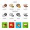 Hazelnut, pistachios, walnut, almonds. Different kinds of nuts set collection icons in cartoon, flat, monochrome style