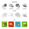 Hazelnut, pistachios, walnut, almonds.Different kinds of nuts set collection icons in flat,outline,monochrome style