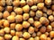 Hazelnut texture background