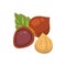 Hazelnut vector icon nuts in cartoon style. Hazel Nut food collection.