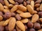 Hazelnuts and almonds background