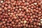 Hazelnuts as full background