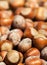 Hazelnuts background macro. Heap of hazel nuts