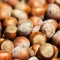 Hazelnuts background macro. Heap of hazel nuts