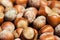 Hazelnuts background macro. Heap of hazel nuts