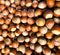 Hazelnuts. Background made of nuts. Photowall-paper Organic background
