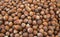 hazelnuts background, raw nuts, nuts shell, hazelnuts pile, hazelnuts for sale,