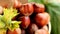 Hazelnuts close-up in a green cup on a wooden table.Nuts with green leaves. Fresh harvest of hazelnuts. Farmed organic