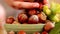 Hazelnuts in a cup. The child's hand pours nuts into a cup.Nuts with green leaves. Fresh harvest of hazelnuts