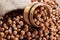 Hazelnuts, filbert in burlap sack and in brown bowl on rustic wooden table. heap or stack of hazelnuts