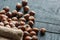 Hazelnuts, filbert on old wooden table