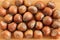Hazelnuts or Filberts