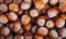 Hazelnuts - food background