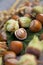 Hazelnuts in a green nut shells