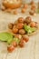 Hazelnuts harvest.Nut abundance.Vegetable protein and healthy fat source. Whole and shelled organic hazelnuts .Hazelnuts