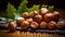 Hazelnuts HD laptop Wallpaper