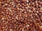 Hazelnuts heap top view. Flax nut texture. Nuts on market table close up photo. Hazelnuts fried without shell. Background.