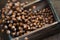 Hazelnuts in Motion Tumbling into Wooden Box