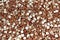 Hazelnuts. Peeled hazelnuts background texture. Organic nuts pattern. Design pattern of nut. Hazelnuts stock photos. Close up of h