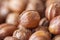 Hazelnuts. Peeled Raw Hazelnuts. Fresh organic Nuts. Raw nuts