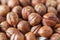 Hazelnuts. Peeled Raw Hazelnuts. Fresh organic Nuts. Raw nuts