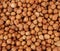 Hazelnuts. Peeled Raw Hazelnuts. Fresh organic Nuts. Raw nuts. Hazelnuts background