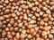 Hazelnuts, pile of nuts, hazelnut background