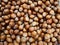 Hazelnuts, pile of nuts, hazelnut background