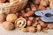 Hazelnuts, walnuts and nutcracker
