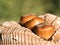 Hazelnuts on a a weaved straw abstract shape