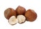 Hazelnuts, whole and unshelled