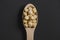 hazelnuts wooden spoon. High quality photo